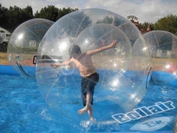 Transparent water ball price